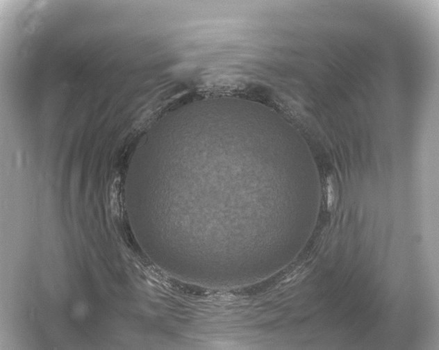 X0000066111059200603171417