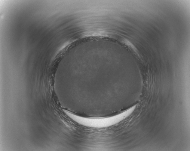 X0000066111064200603171417