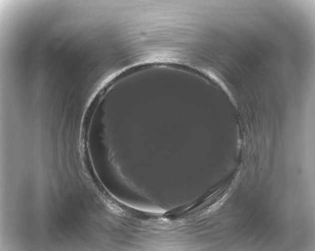 X0000066111077200603171416