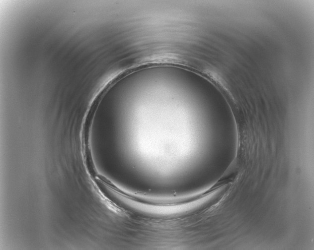 X0000066111082200603171416