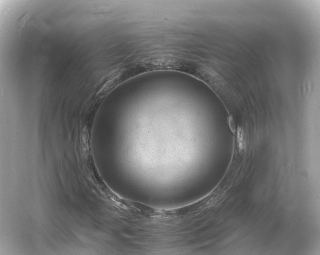 X0000066111107200603171415