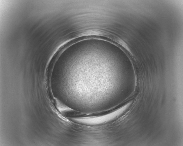 X0000066111116200603171415