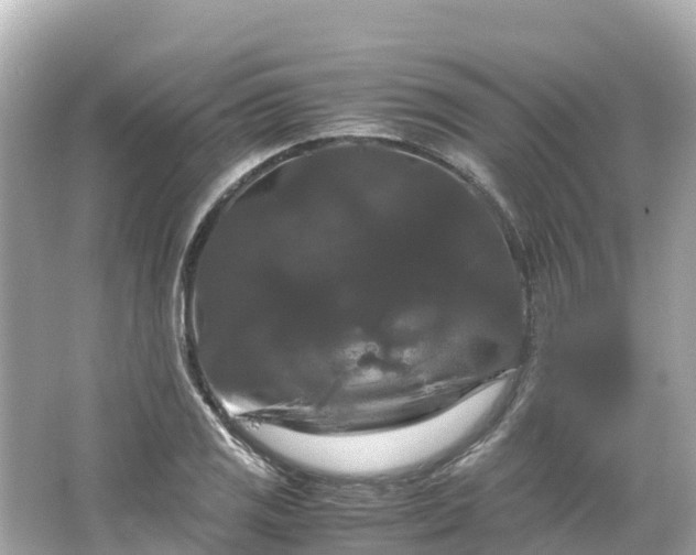 X0000066111125200603171416