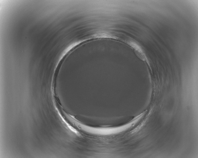 X0000066111141200603171416