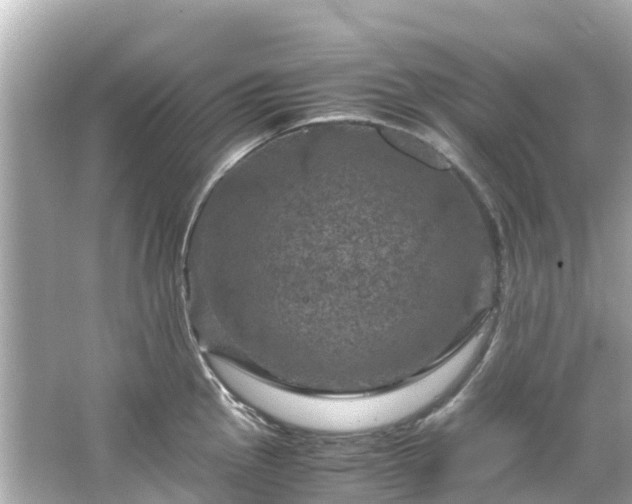 X0000066111145200603171416