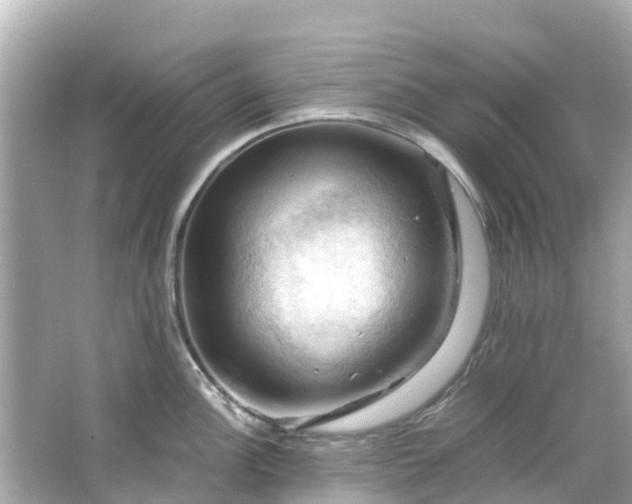 X0000066111148200603171416
