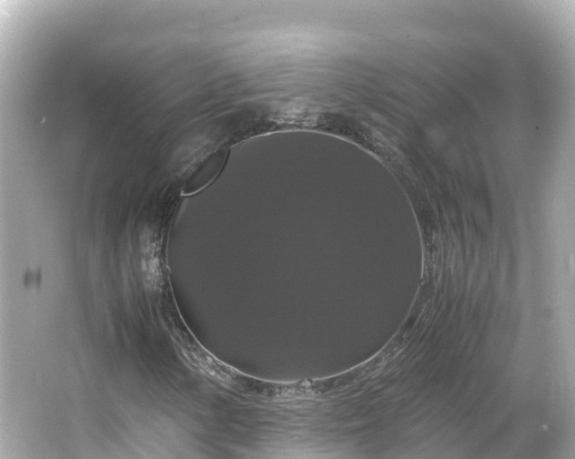 X0000066111154200603171415