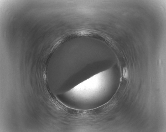 X0000066111155200603171415