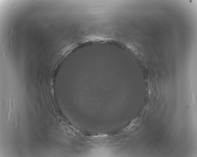 X0000066111157200603171415
