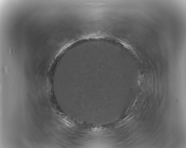 X0000066111160200603171415