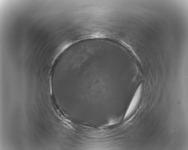 X0000066111171200603171415