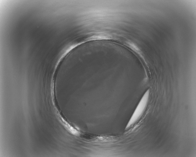 X0000066111179200603171415
