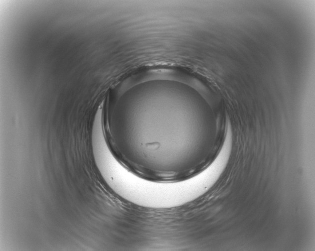 X0000066111202200603171414