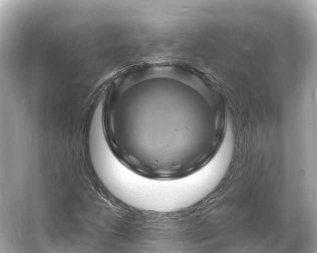 X0000066111206200603171414