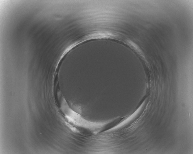 X0000066111226200603171414
