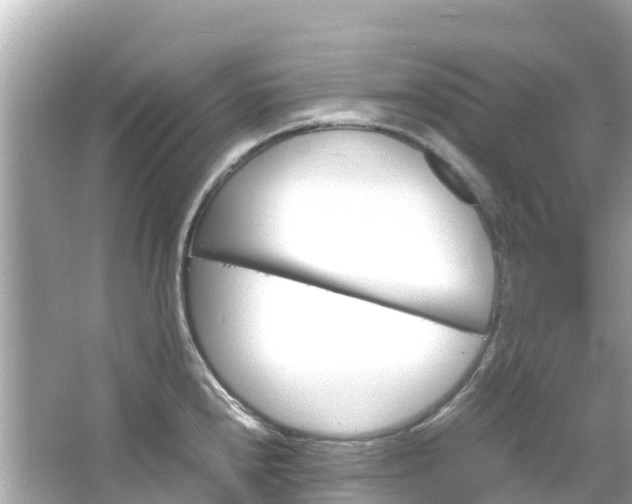 X0000066111240200603171414