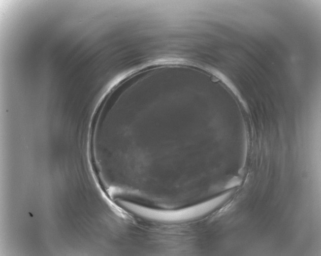 X0000066111245200603171414