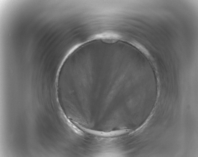 X0000066111248200603171414