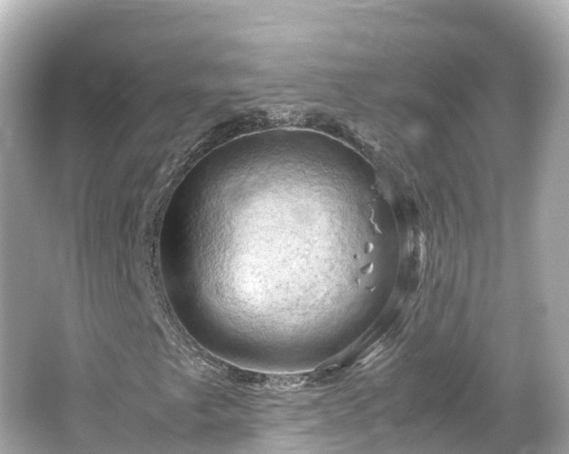 X0000066111249200603171414