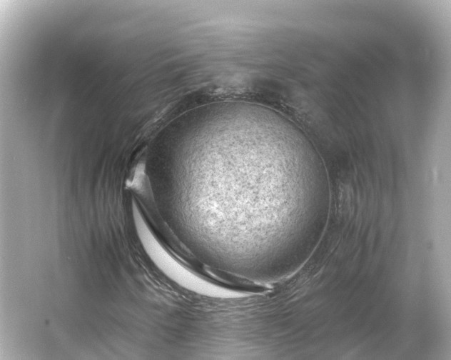 X0000066111250200603171414