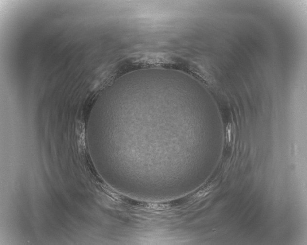 X0000066111251200603171414