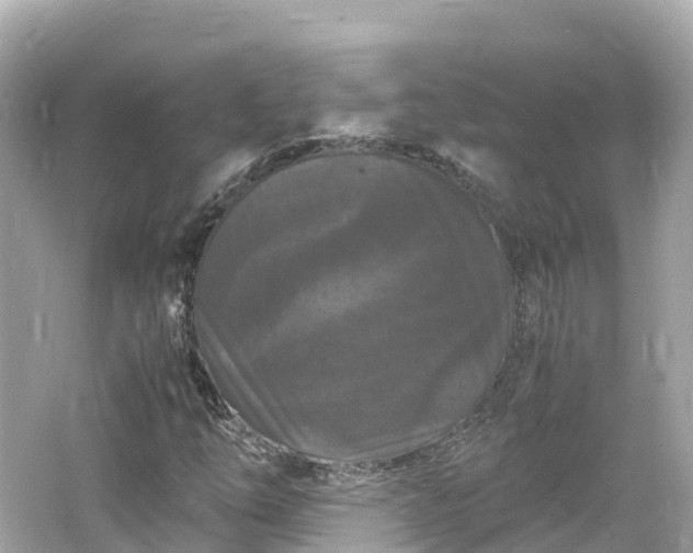 X0000066111254200603171413