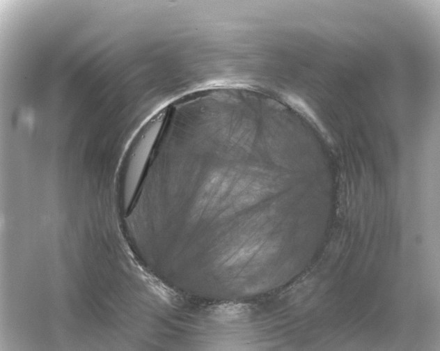 X0000066111268200603171413
