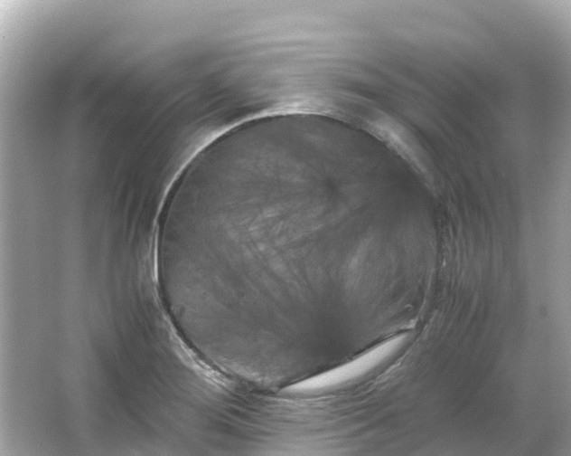 X0000066111276200603171413