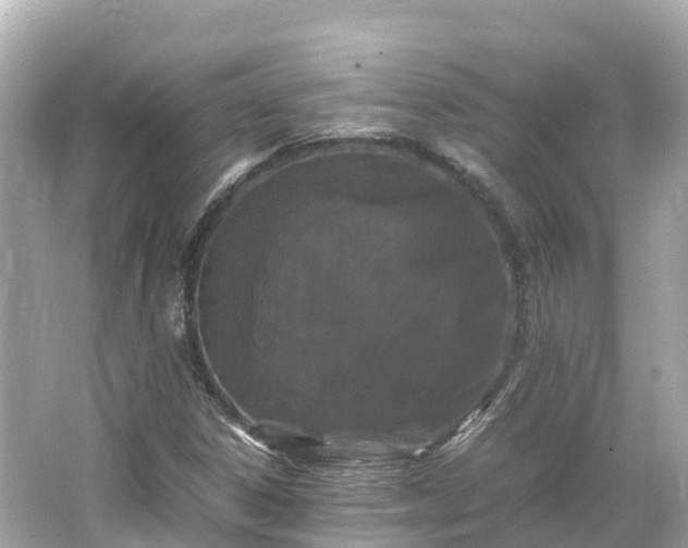 X0000066111306200603171412