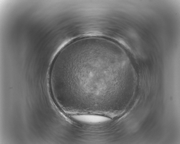 X0000066111325200603171412