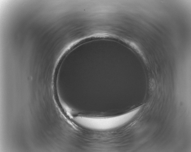 X0000066111327200603171412