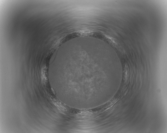 X0000066111346200603171412