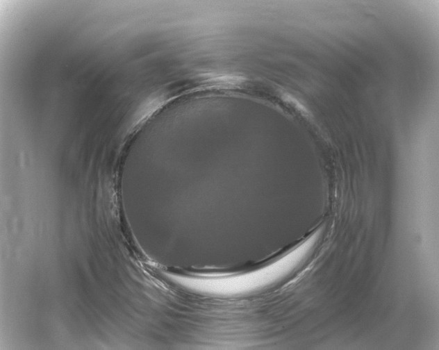 X0000066111354200603171412