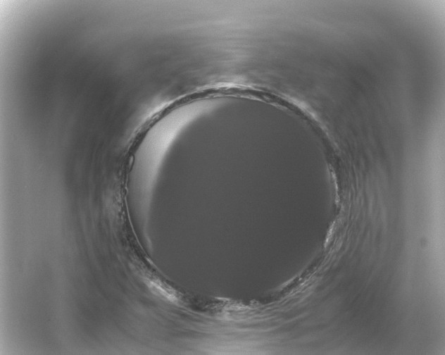X0000066111359200603171412