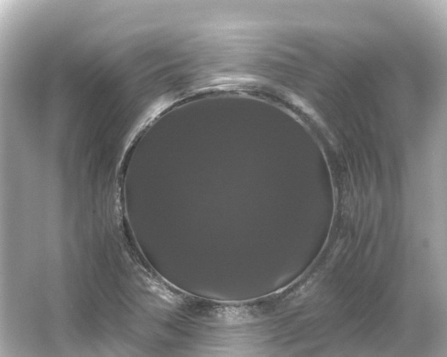 X0000066111362200603171412