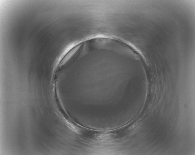 X0000066111367200603171412