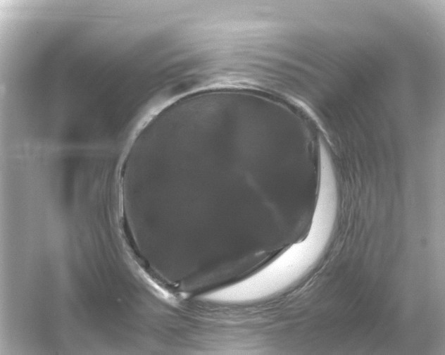 X0000066111371200603171411