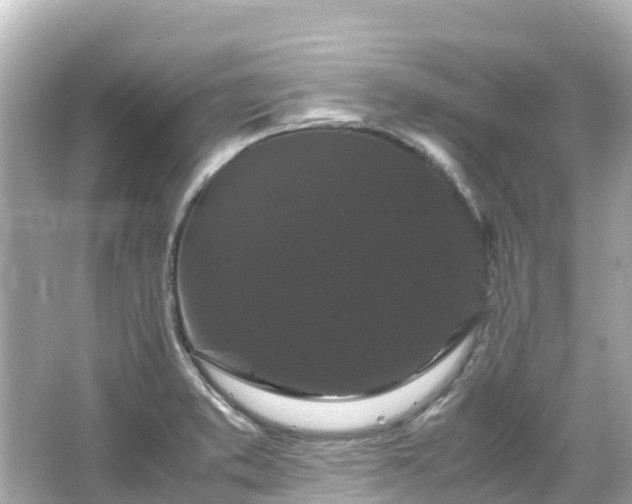 X0000066111373200603171411