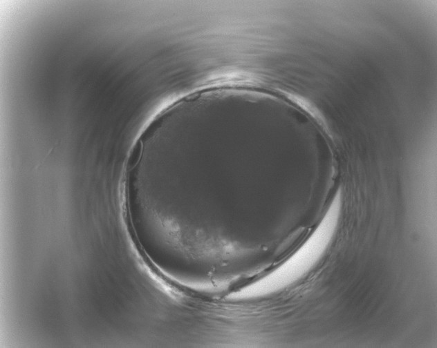 X0000066111383200603171411