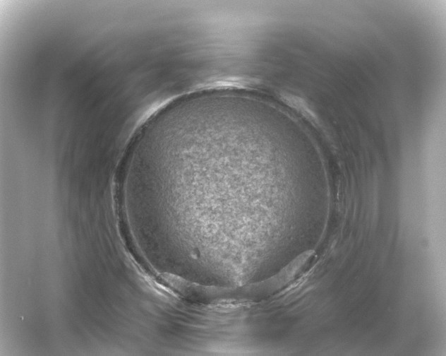 X0000066111404200603171411
