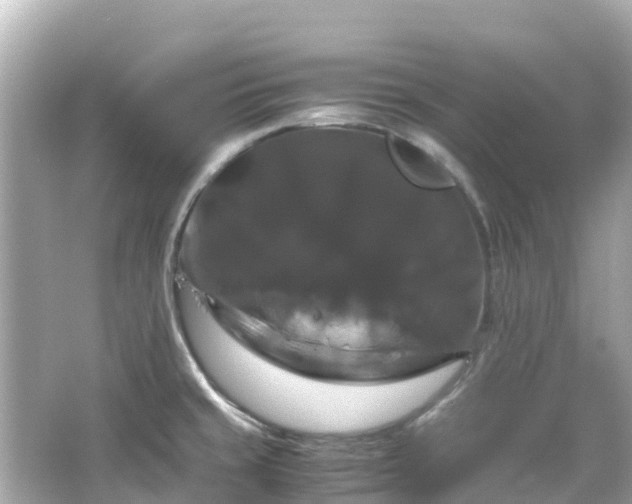X0000066111429200603171411