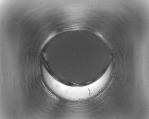 X0000066111450200603171410