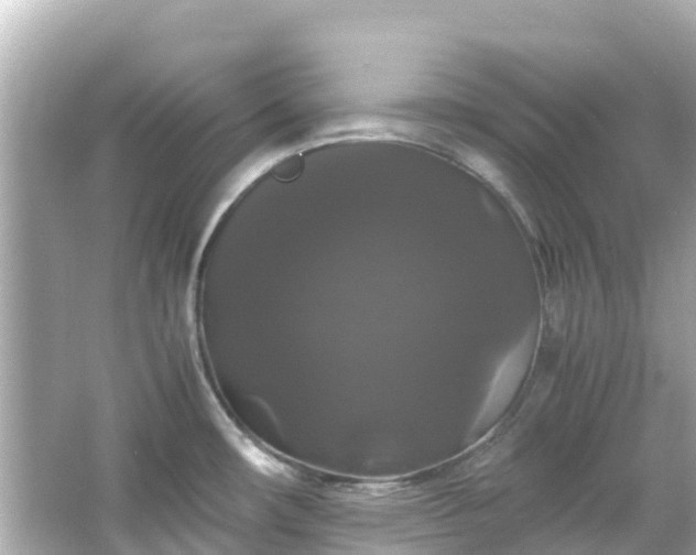 X0000066111482200603171410