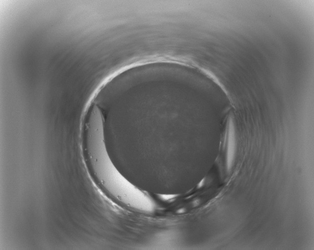 X0000066111508200603171409