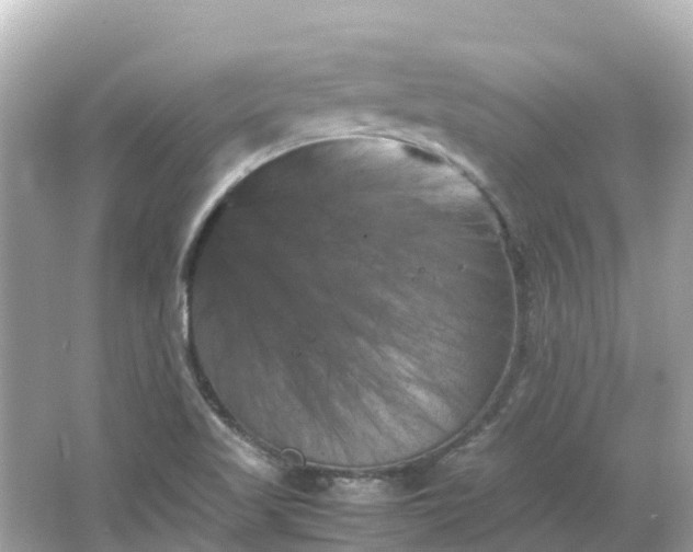 X0000066111509200603171409