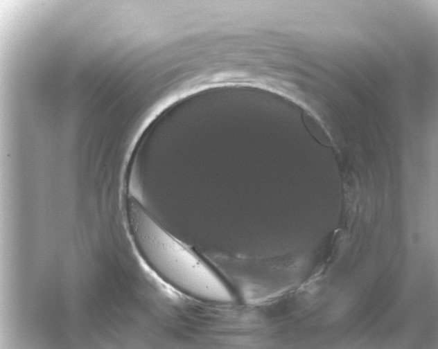 X0000066111527200603171409
