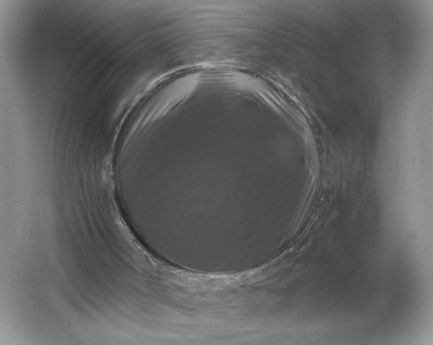 X0000066110002200603241556