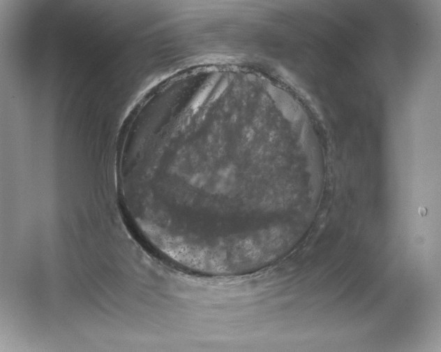 X0000066110011200603241556
