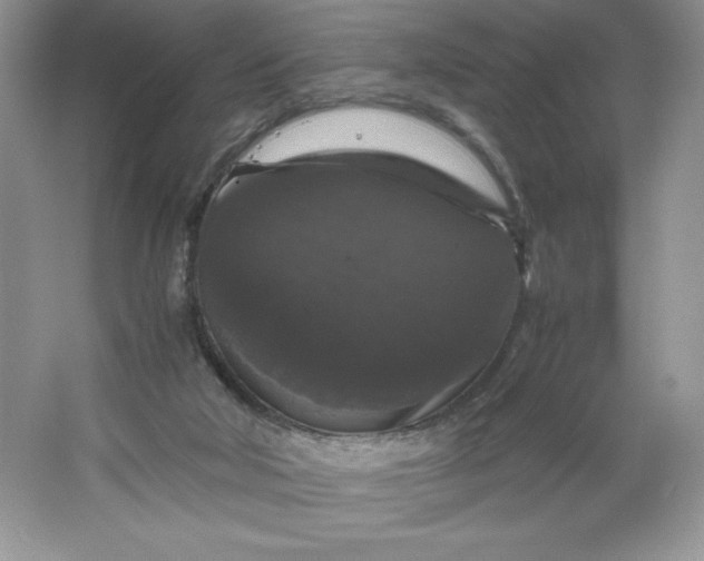 X0000066110018200603241556