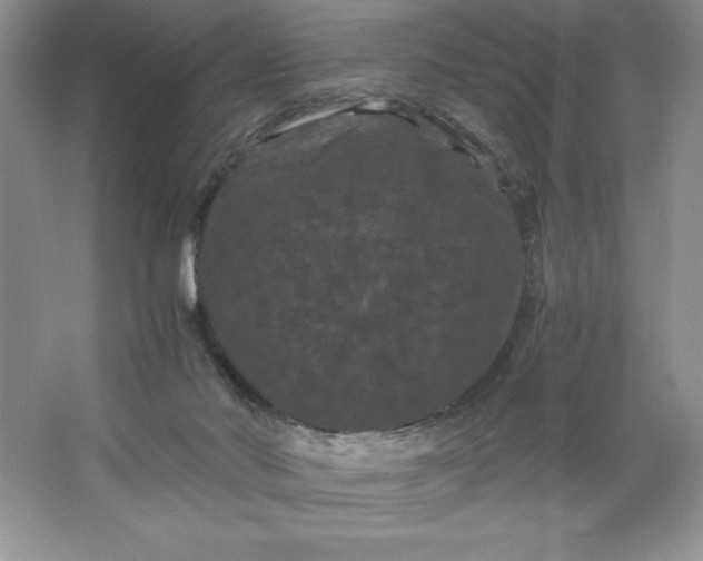 X0000066110022200603241556